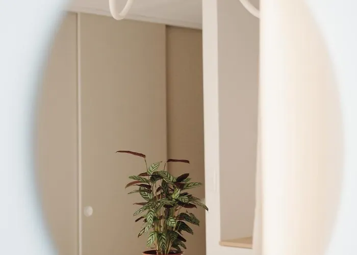 Toffino * טרנבה